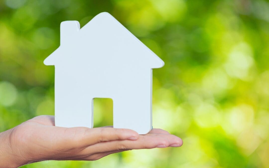 Environmental Considerations in Renovations and Refurbishments