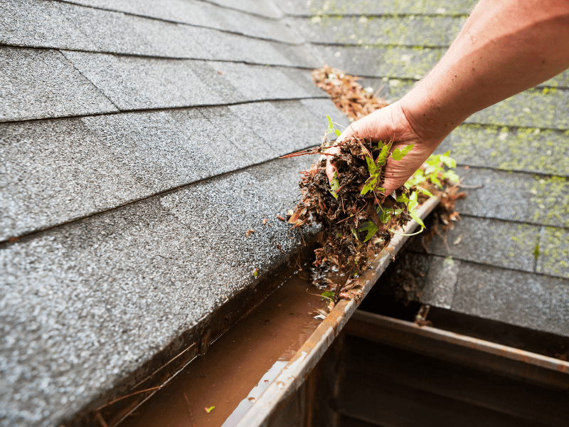 Getting Your Home Ready for Autumn: Essential Maintenance Checks