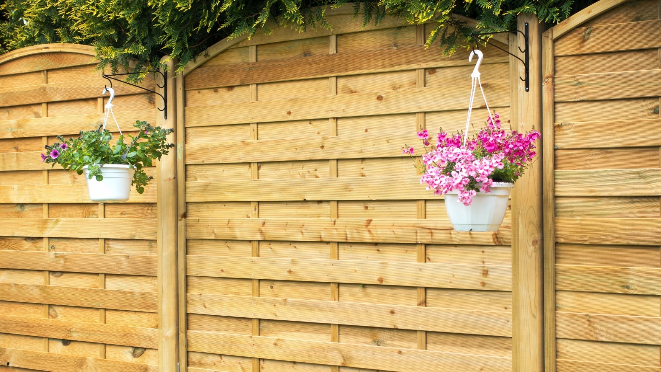 Untitled design Fence with plants
